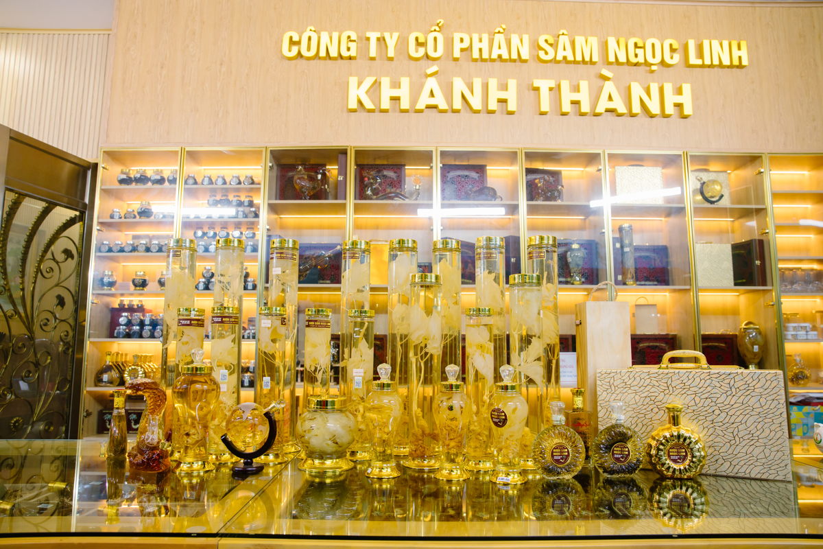 Chụp hình sản phẩm Sâm Ngọc Linh chuyên nghiệp – Nâng tầm giá trị thương hiệu dược liệu cao cấp